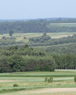 Fot&#x2e;&#x20;Katarzyna&#x20;Głowacka