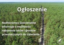 Ogłoszenie o zakupie lasów i gruntów do zalesienia