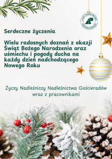 Wesołych Świąt