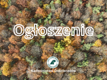 Zmiana organizacji pracy